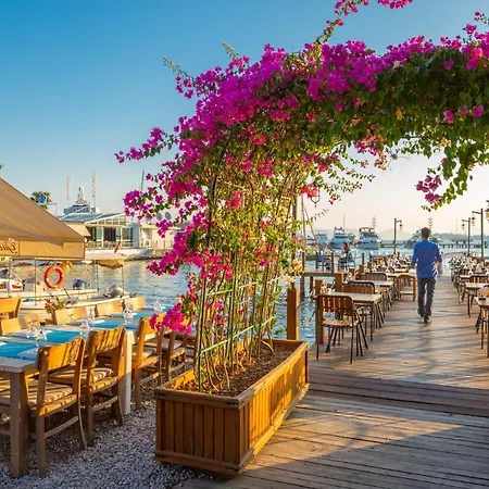 Almira * Göcek
